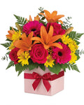 Absolute Joy