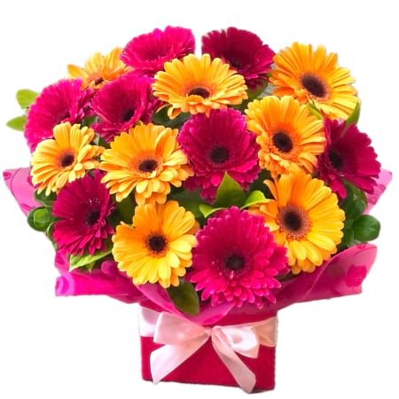 Bright Gerberas Box Arrangement