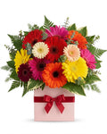 Bright Gerberas