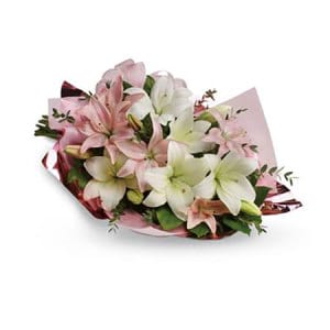 Delightful Pink and White Lilies