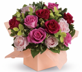 A box of Blush