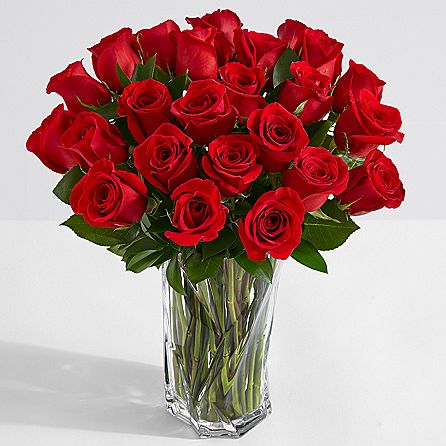 Absolute Affection - 24 Red Roses