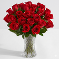 Absolute Affection 24 red roses with vase
